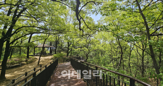 [포토] 도봉구, 도봉둘레길 둘리공원 구간 개통