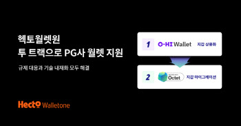 헥토월렛원, PG사 디지털자산 지갑 도입 지원…‘투트랙’ 전략 제시