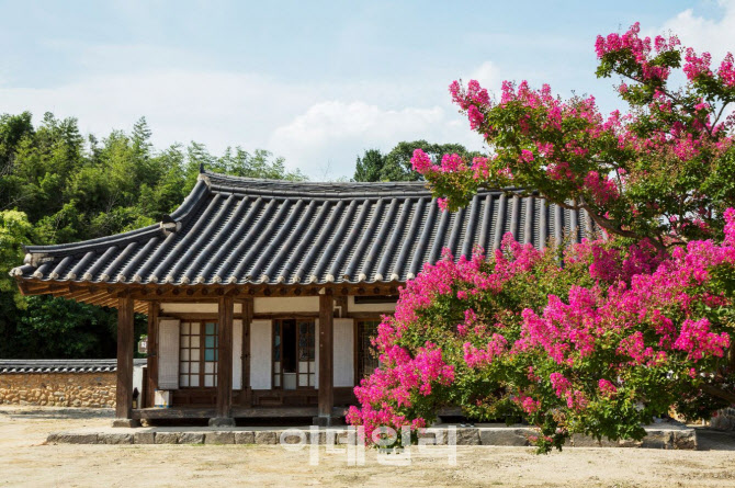 [올댓트래블] 전통주 즐기고 반딧불이와 환상의 밤…올여름 국내여행 어때요?