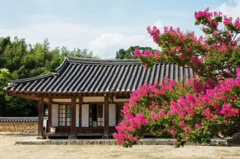  전통주 즐기고 반딧불이와 환상의 밤…올여름 국내여행 어때요?