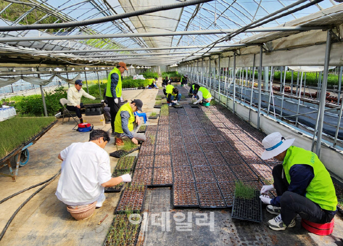 [포토] 농협상호금융, '농촌일손돕기' 릴레이 확대