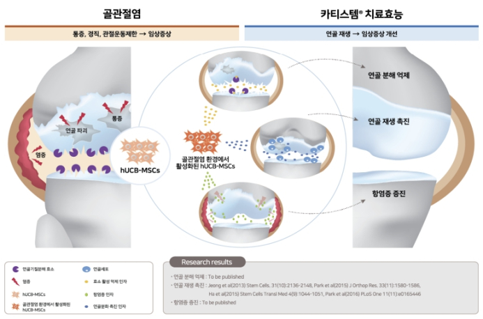 日3상 결과공개 임박한 ‘카티스템’…메디포스트 주가도 고공행진