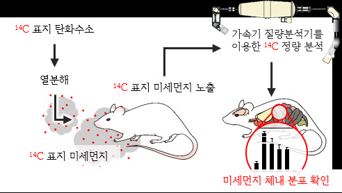 미세먼지, 폐 넘어 뇌까지 간다…"환경 유해물질 평가 활용 기대"