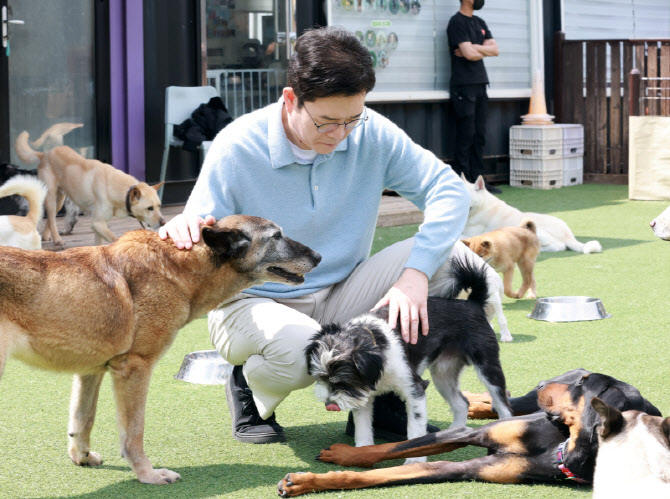 [포토]유기견들 살펴보는 정원오 후보