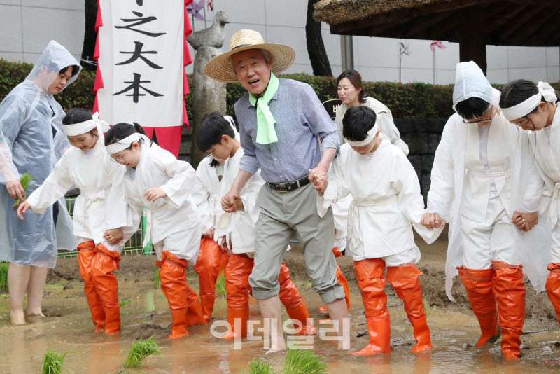 [포토] 농협, 전통 손모내기 체험 행사