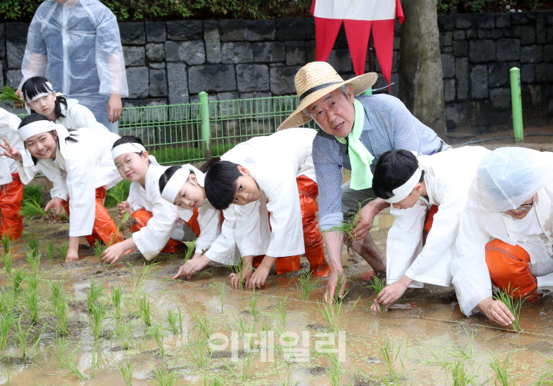 [포토] 전통 손 모내기 체험행사