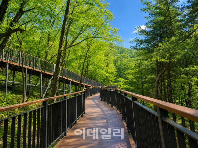 [포토] 금천구, '호암마루길'과 '전망대' 정식 개통