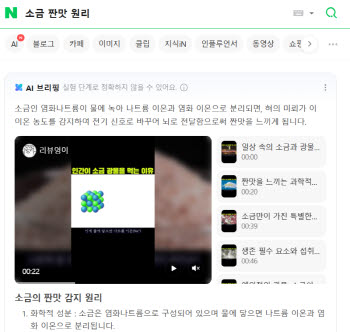 네이버 AI 브리핑에 '숏폼' 띄운다…기능 고도화