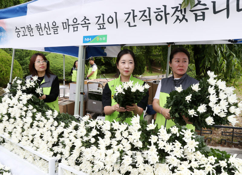[포토] 범농협 임직원들, 호국의달 맞아 국화 나눔 봉사