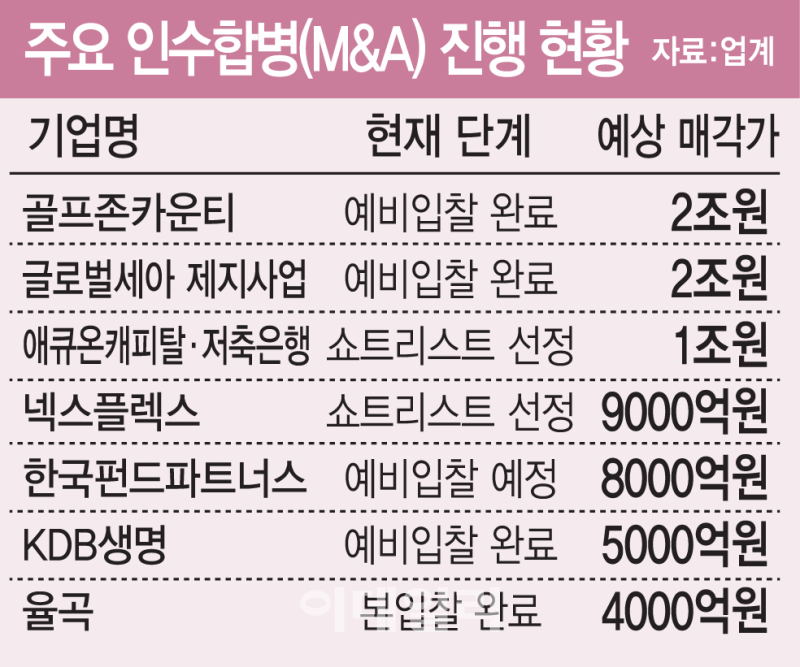 “확실한 캐시카우엔 공격 베팅”…메가딜 띄우는 사모펀드