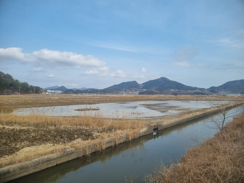 금호석화그룹, 생태계 보전 앞장…여수 철새 서식지 복원 활동