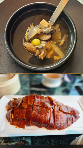 '두 지붕 한 가족' 정통의 도림 vs 현대적 감각의 도림