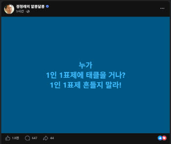 '보완수사권' 이어 '1인1표제' 충돌…鄭 "태클"vs친명 "보완필요&q...