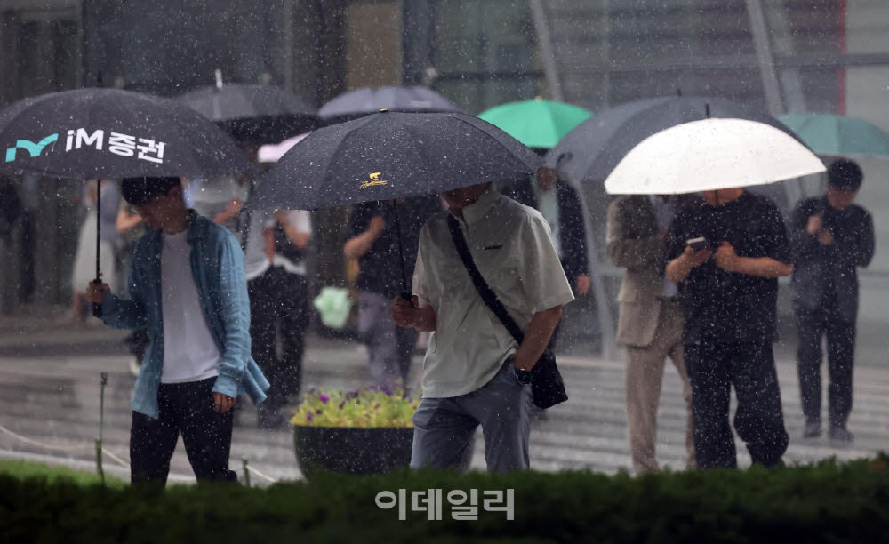 전국서 강한 소나기…내륙 중심 '찜통더위'도[내일날씨]