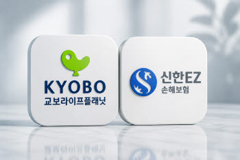 "지급여력비율 제도 손질해 달라" 디지털 보험사들 '맞춤형' 건의 