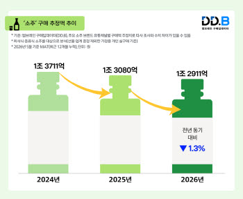 술 덜 마시는 시대…소주 시장 흔든 지역·특화 브랜드 쑥↑