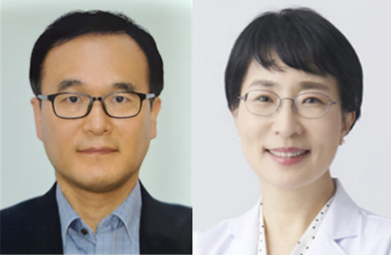 건국대 연구팀, 엑소좀 활용 말초신경 재생 기술 개발