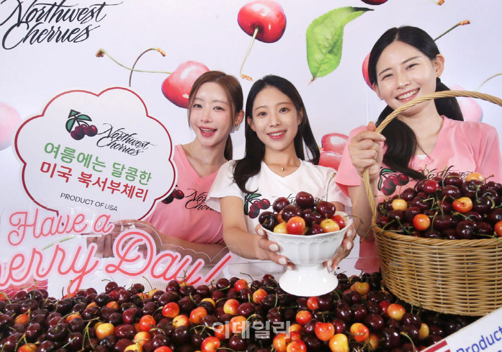 [포토] '체리' 계절이 왔어요~