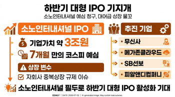 하반기 대형 IPO 기지개 켜나…무신사·소노인터 '대어' 출격 대기