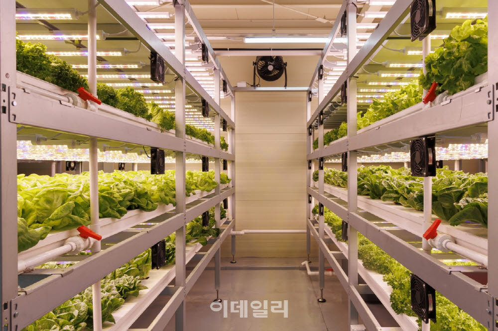 [포토] 마포구 스마트팜 체험관 프로그램 운영
