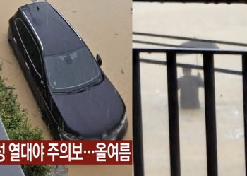 폭우 피해 속출…"차량에 집착하지 마라" 전문가 경고