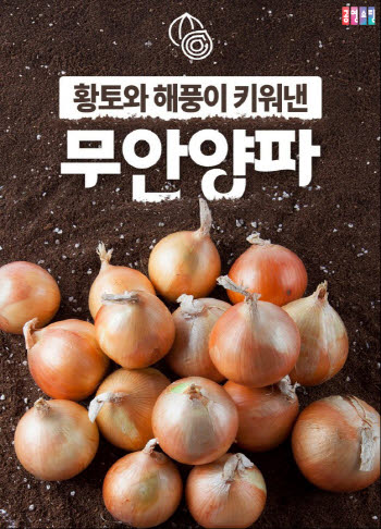 공영홈쇼핑, 양파 소비 촉진 특별전…무안 양파 최대 20% 할인