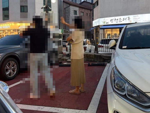 "차 금방 와요"…공영주차장 서 칸 막고 15분 버틴 여성