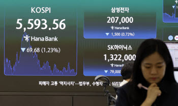 경실련 "증시 폭락은 정책 실패…레버리지 도입 책임자 문책해야"