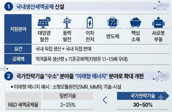 반도체·AI로봇 부품·배터리…국내서 만들면 법인·소득세 깎아준다