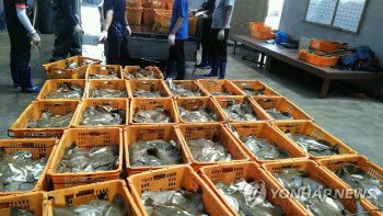 극한 폭염에 농수산물 가격 '들썩'…겨울까지 영향 미친다