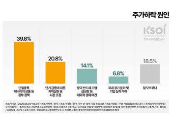 국민 10명 중 4명 “주가 하락, 레버리지 ETF 탓”