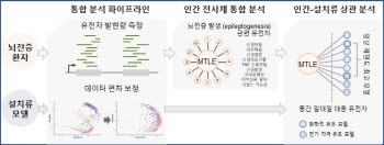 뇌전증 치료제 개발 정확도 높아진다