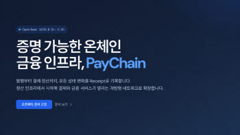 다날 페이프로토콜,  온체인 금융 인프라 '페이체인' 오픈베타 시작