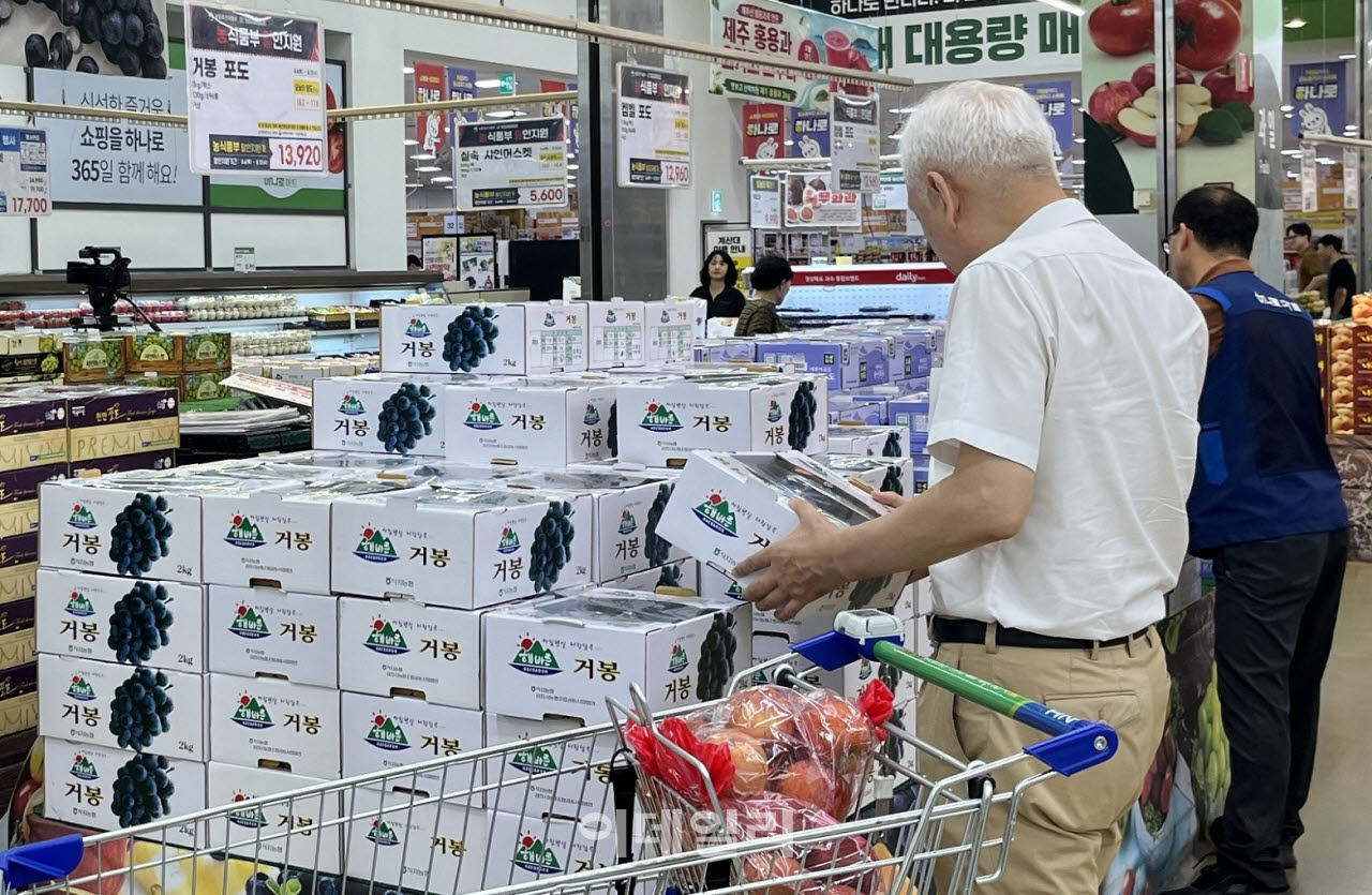 [포토] 농협, 제철 국산 포도 특별 할인 판매