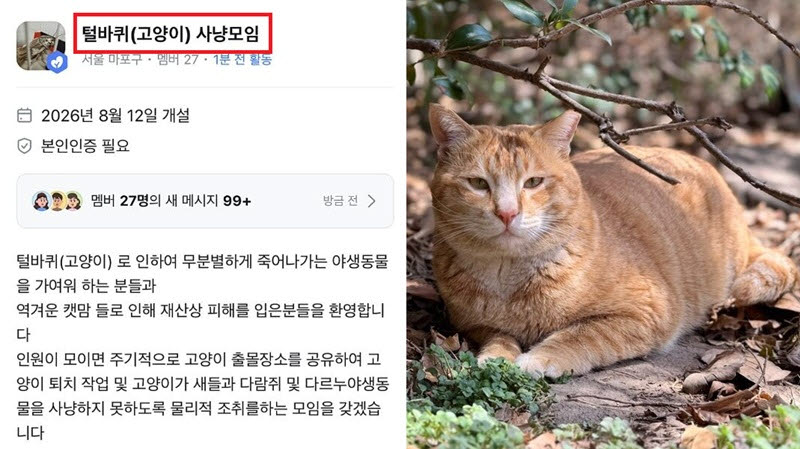 “역겨운 캣맘 피해자 환영” 당근에 뜬 ‘고양이 사냥모임’ 발칵