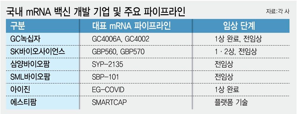 모더나 주가 177% 띄운 암백신에 ‘mRNA’ 주목…K바이오도 수혜 입을까