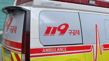 영등포 공장 암모니아 가스 누출 "인명피해 없어, 차량 우회"