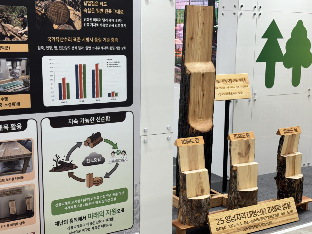 "산불 피해목도 미래의 자원입니다"