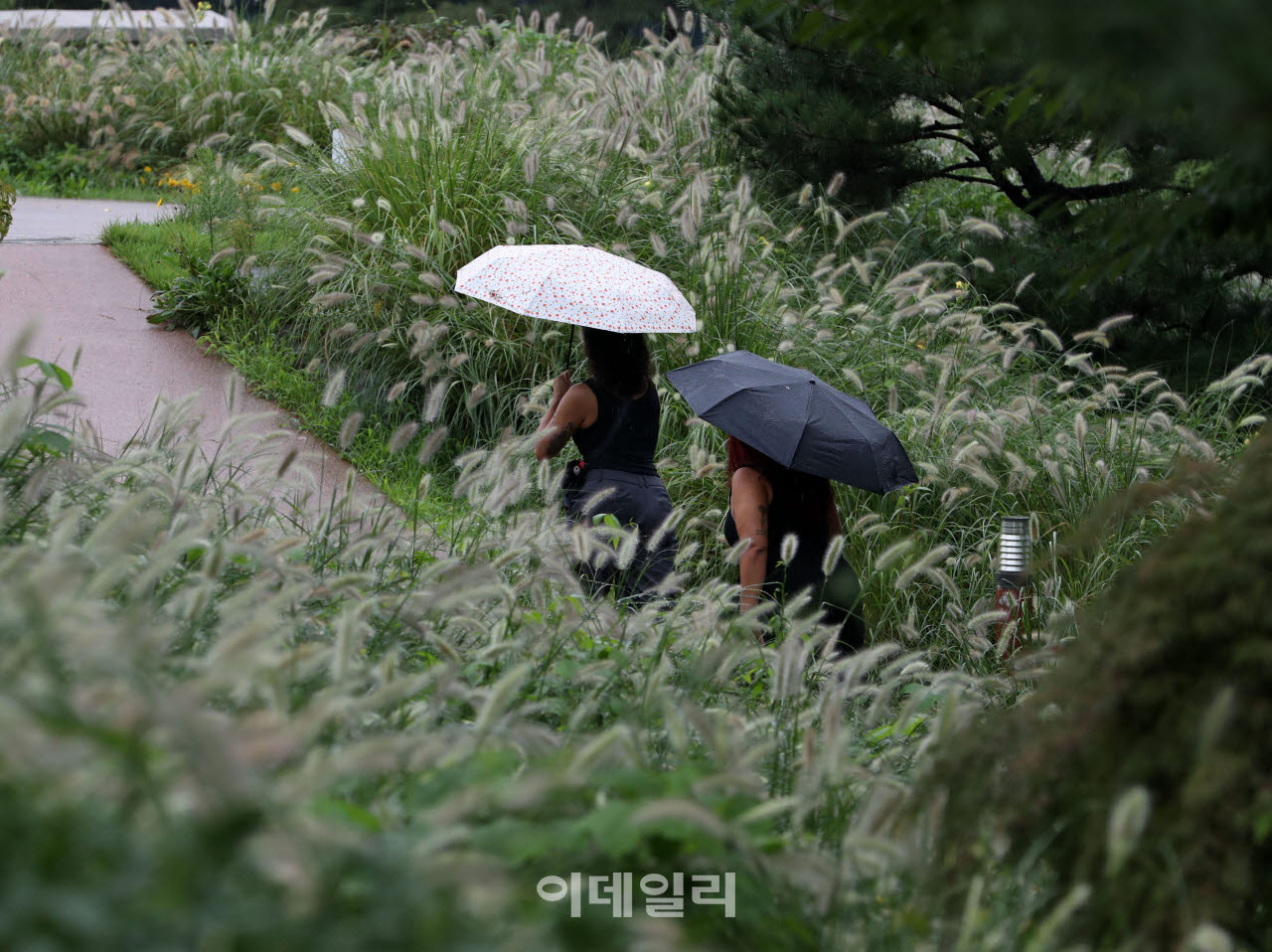 [포토] 가을비