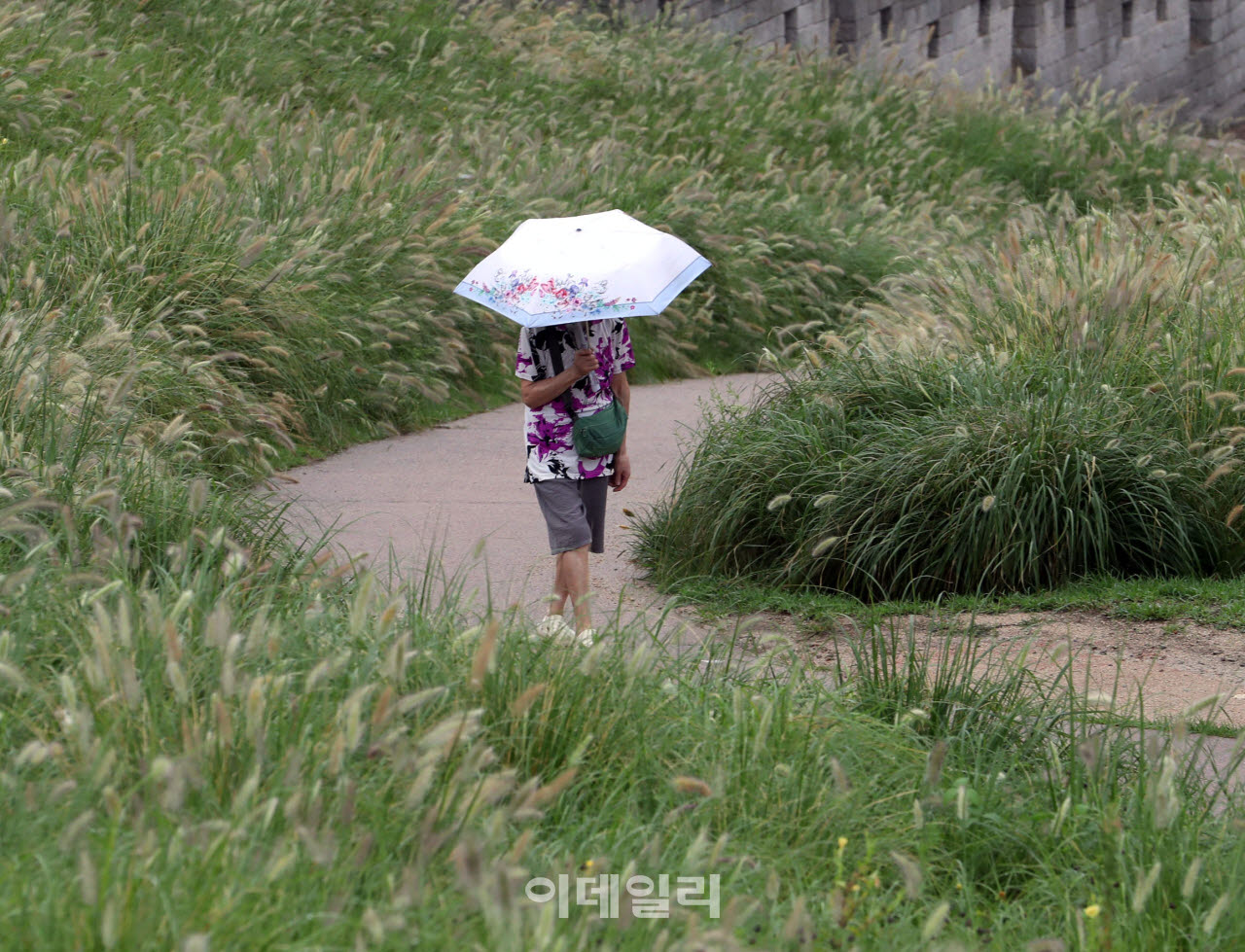 [포토] 가을비 산책길