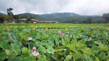 500년 돌담길 걷고, 왕의 온천서 힐링…따뜻한 쉼표가 있는 아산[여행]