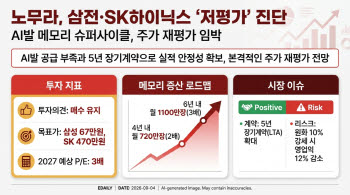 "67만전자, 470만닉스 간다" 심각한 저평가…재도약 임박