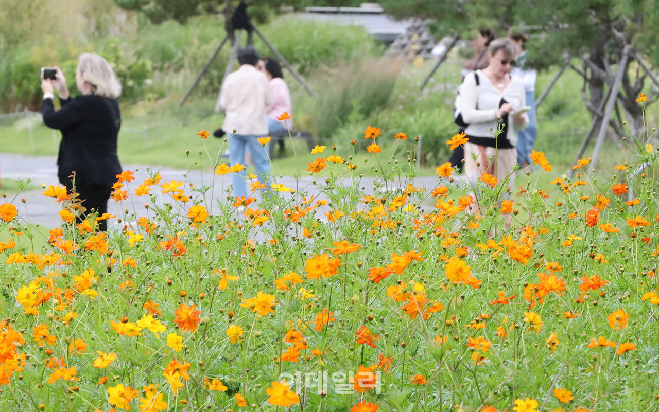 출근길은 '쌀쌀' 한낮은 '포근'…일교차 10~15도[내일날씨]