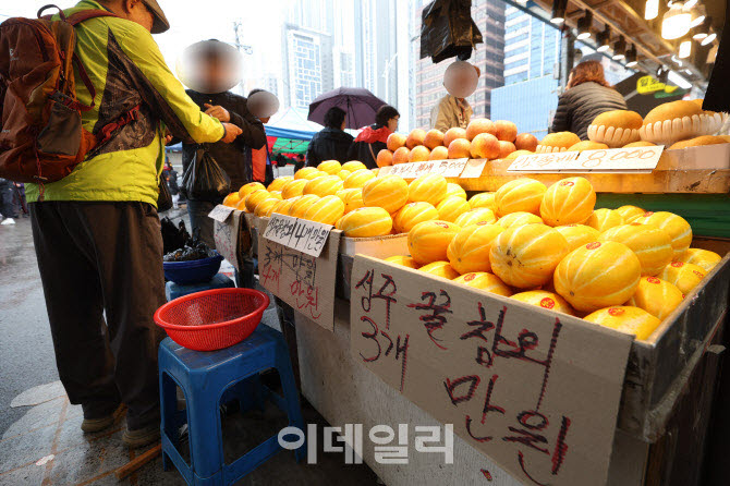 생산 늘어난 성주참외, 조수입 6529억원…농가 순수입도 12.6%↑