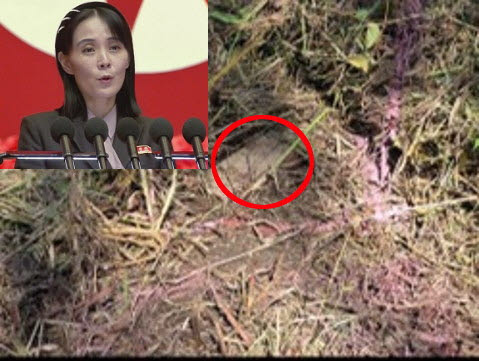 김여정 "DMZ 사고는 자작극, 가차없는 보복"…날 세운 이유는(종합)