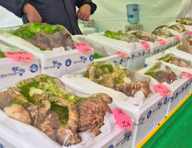 1kg 90만원도 비쌌는데...나흘 만에 '162만원' 된 이것