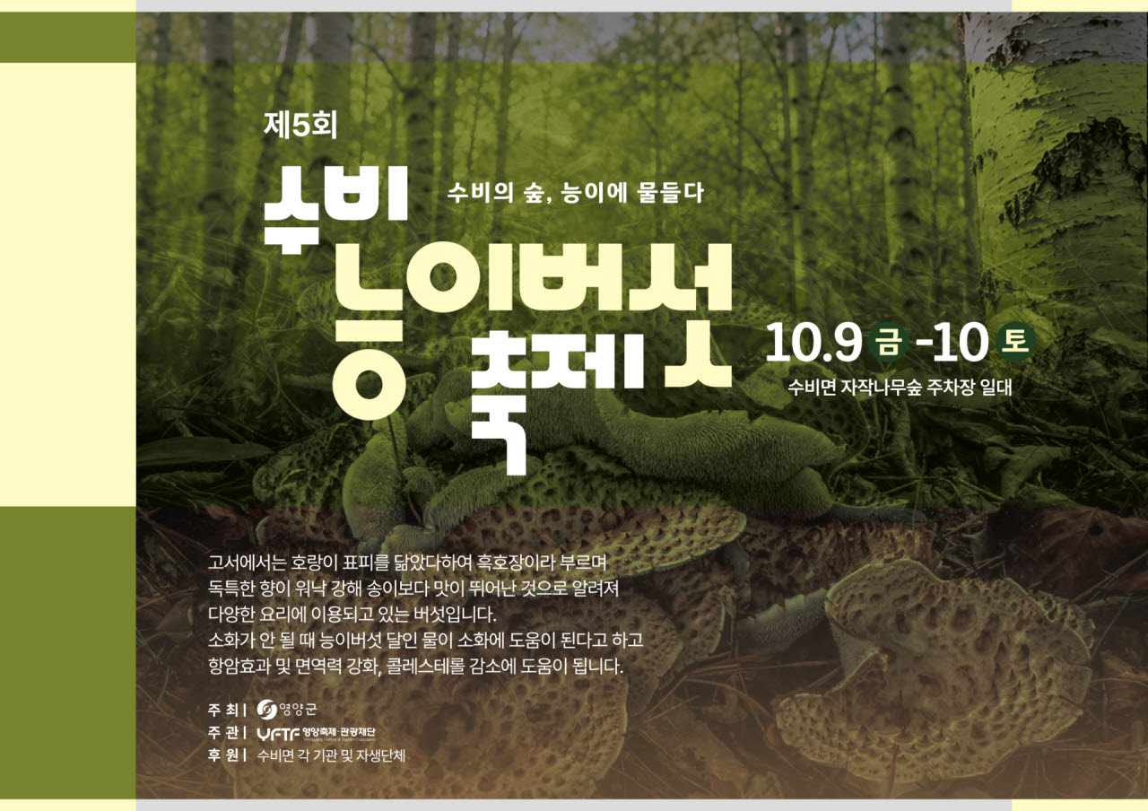 자작나무숲에서 만나는 능이버섯…영양 수비축제 10월 9일 개막