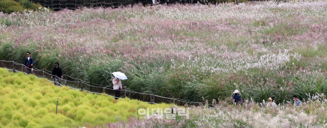 화창하고 포근한 토요일…낮 최고 27도[내일날씨]