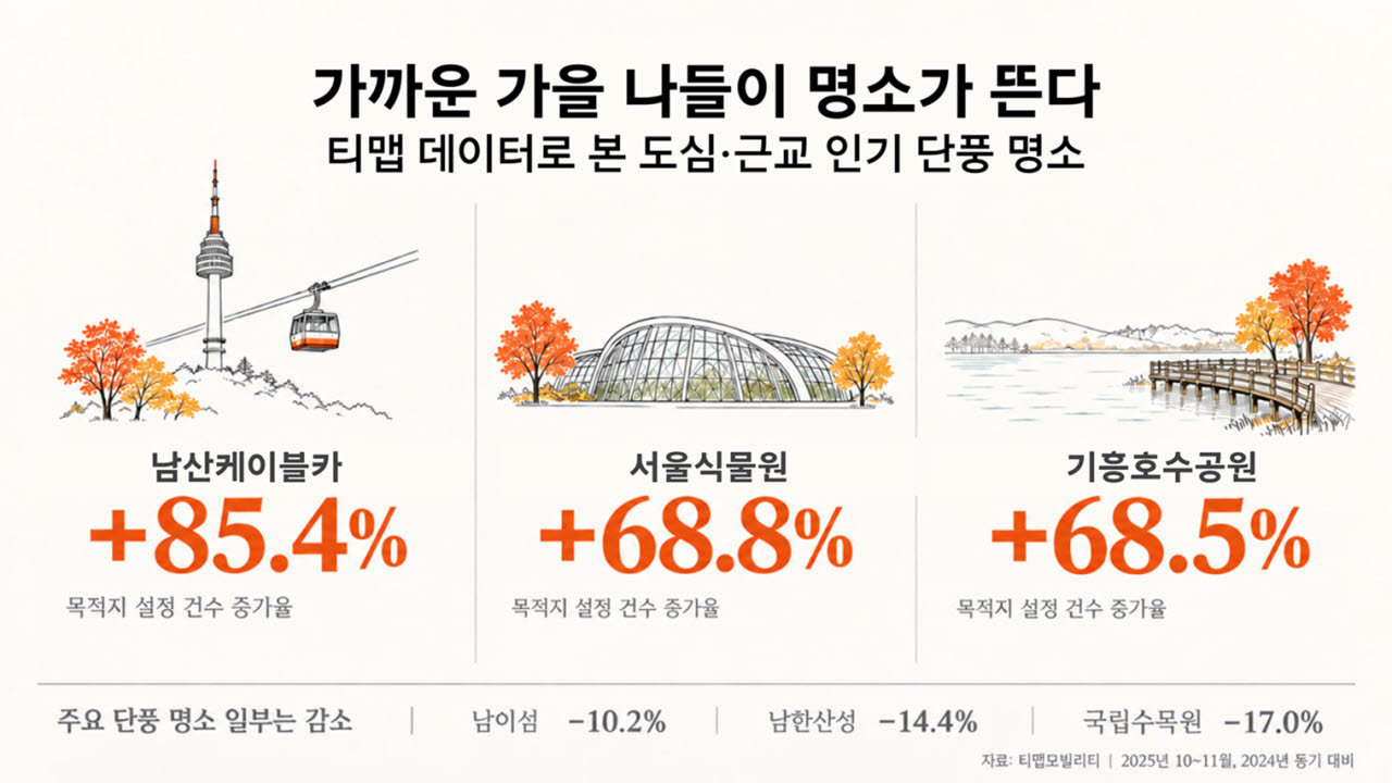 멀리 안 가고 단풍 즐긴다…남산·서울식물원 찾는 발길 급증