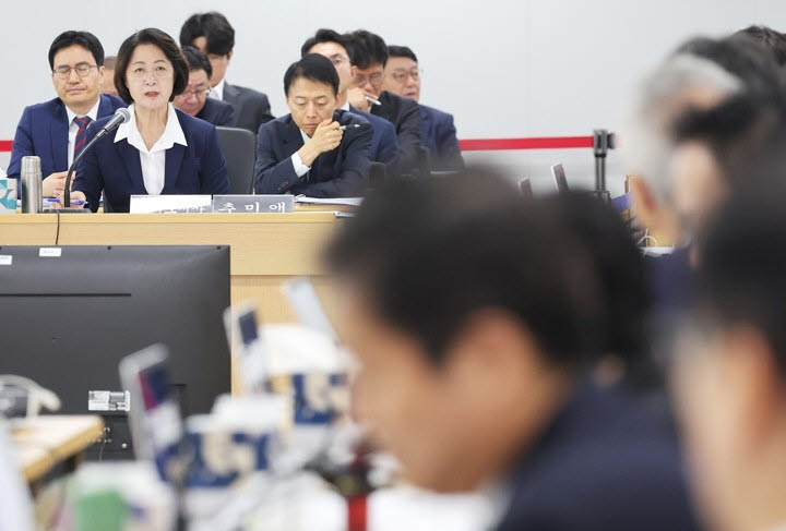 "정부와 반대 노선" "독주"…추미애 '재정 비상' 직격한 與